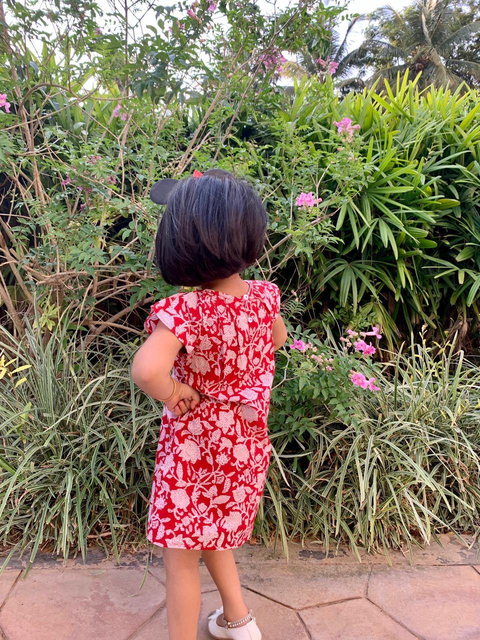 Red Petunia Dress Toddler Theory 