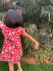 Red Petunia Dress Toddler Theory 